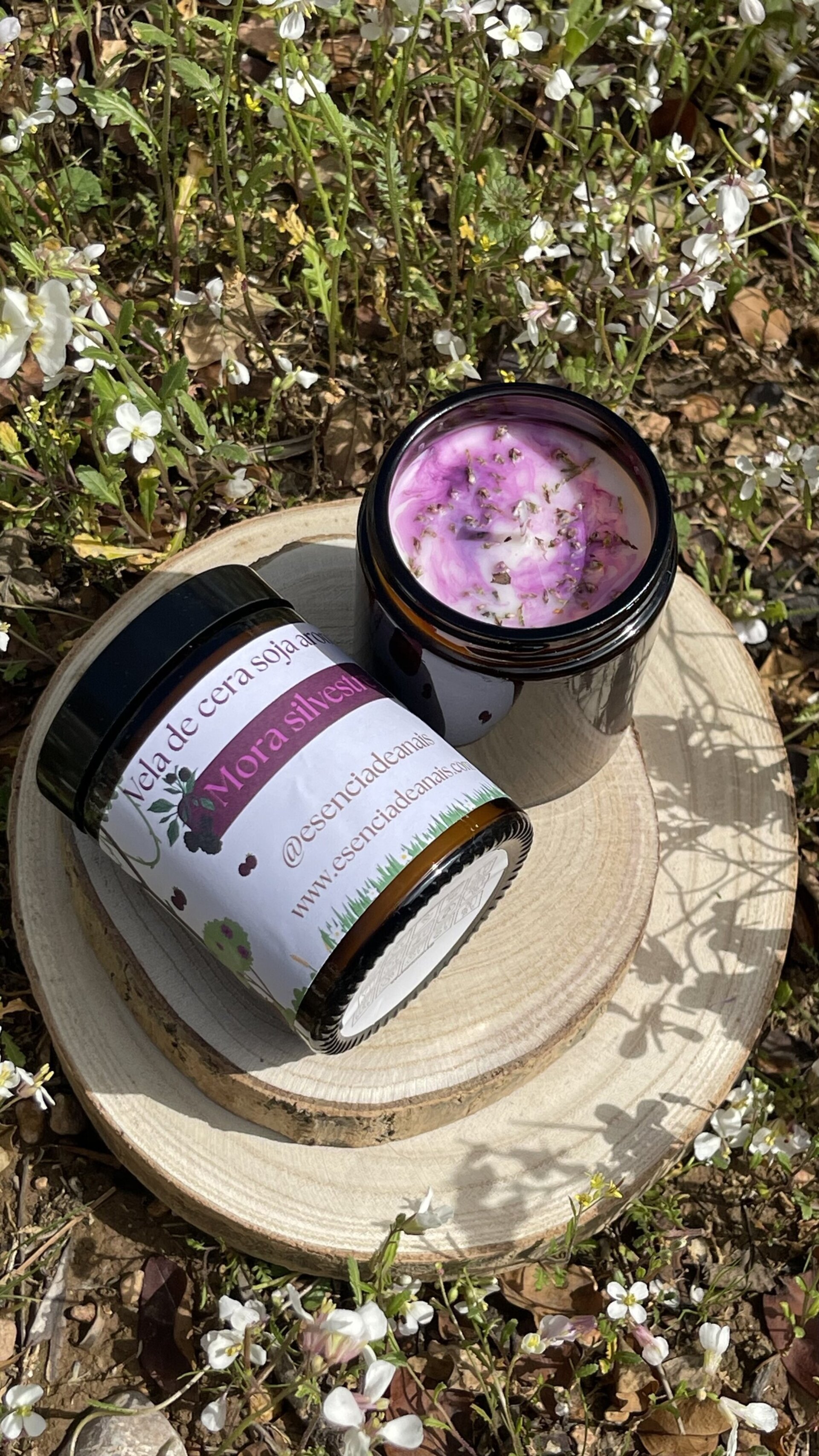 Vela mora silvestre. - 1