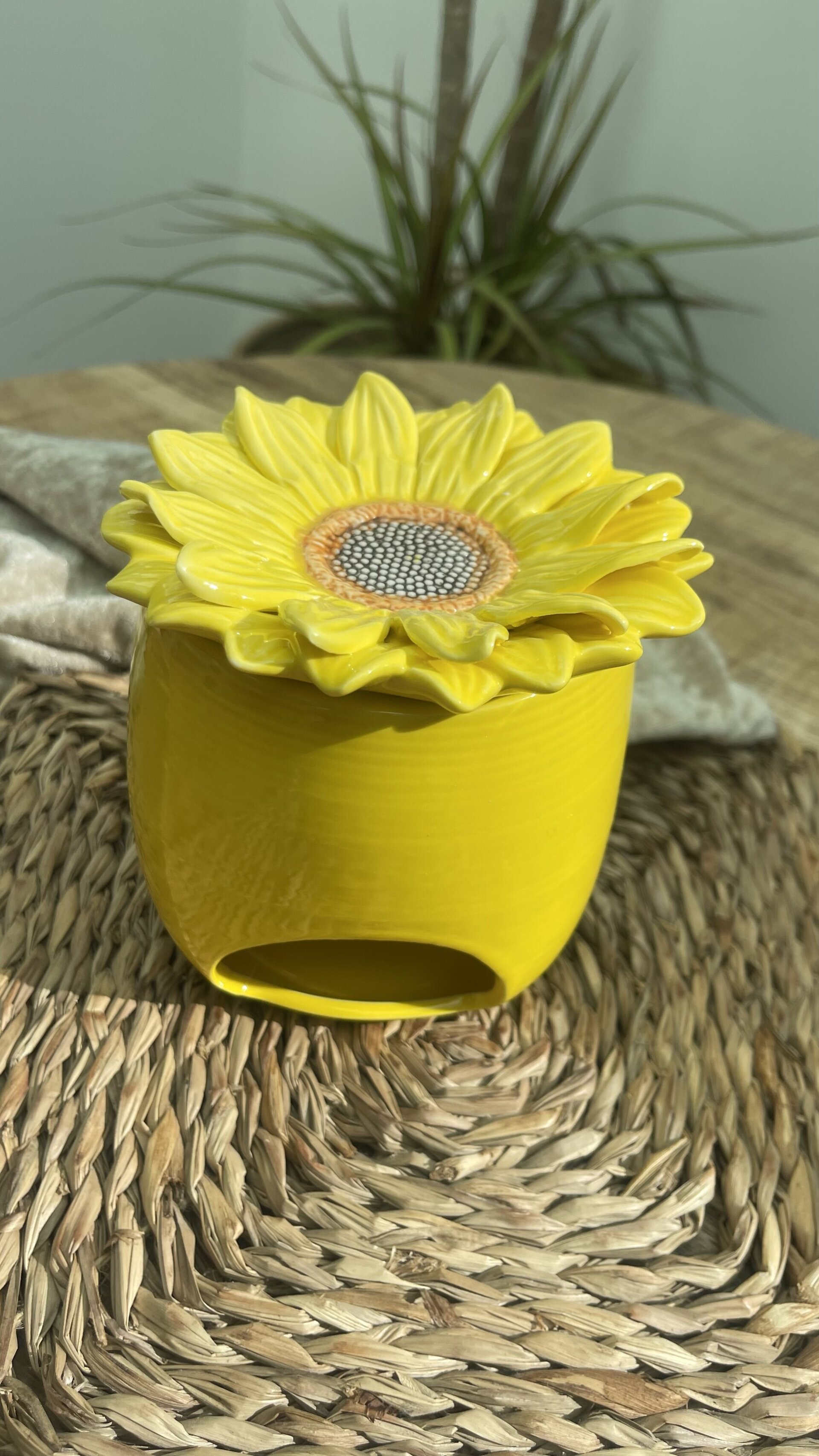 Quemador Girasol. - 2