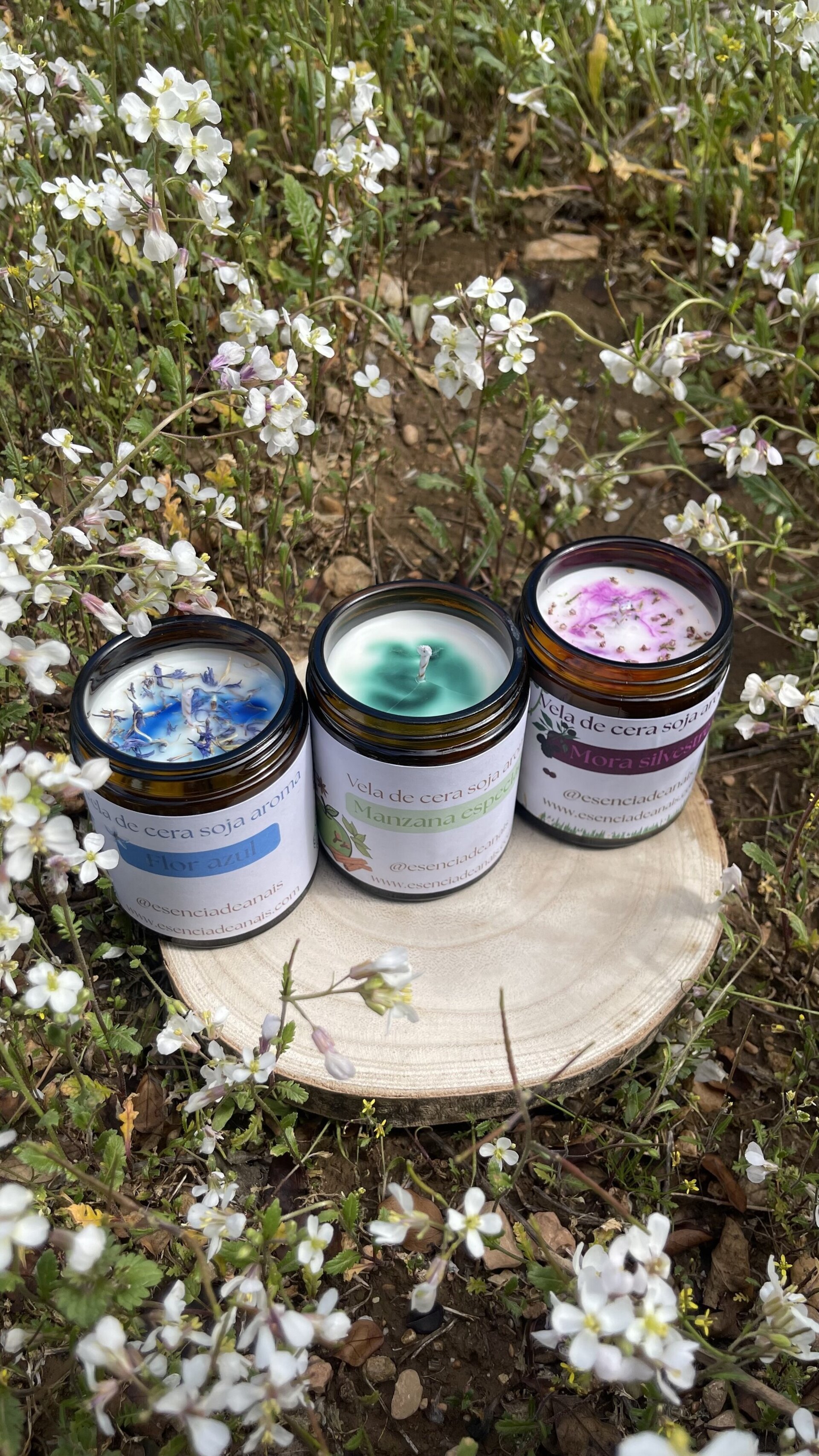 🌿 Pack RENACER - 2