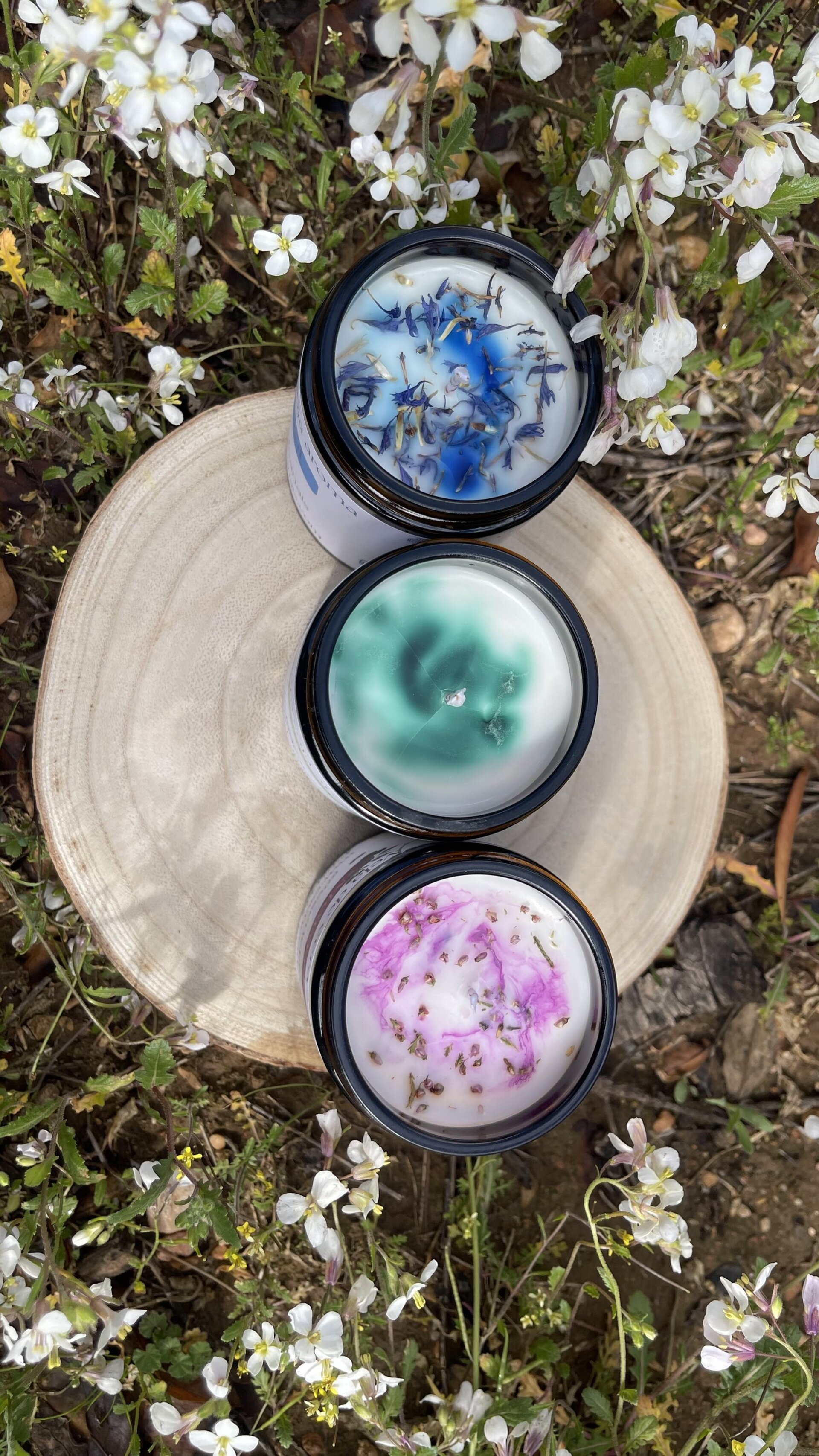 🌿 Pack RENACER - 3