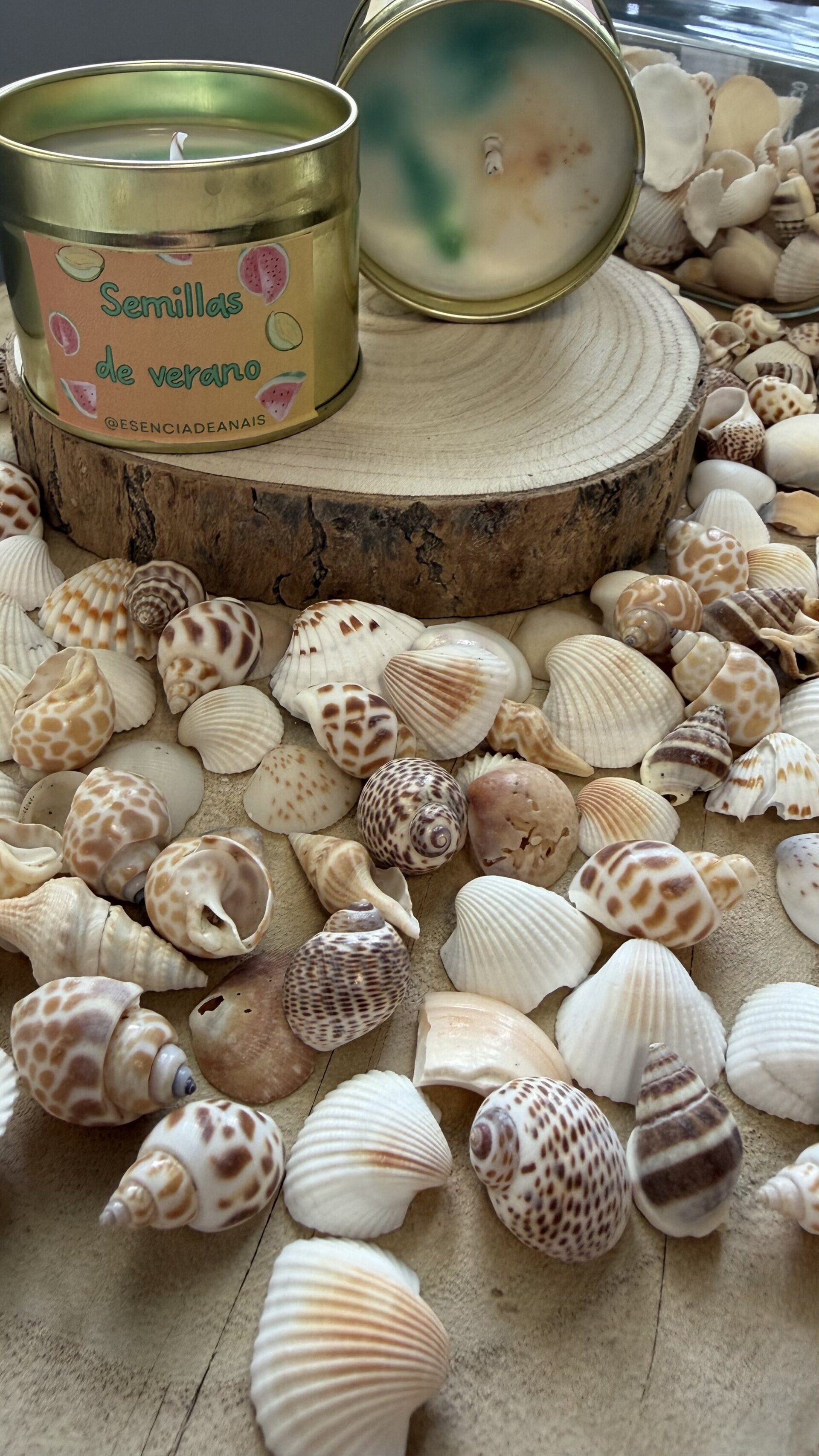 Mini vela semillas de verano. - 2