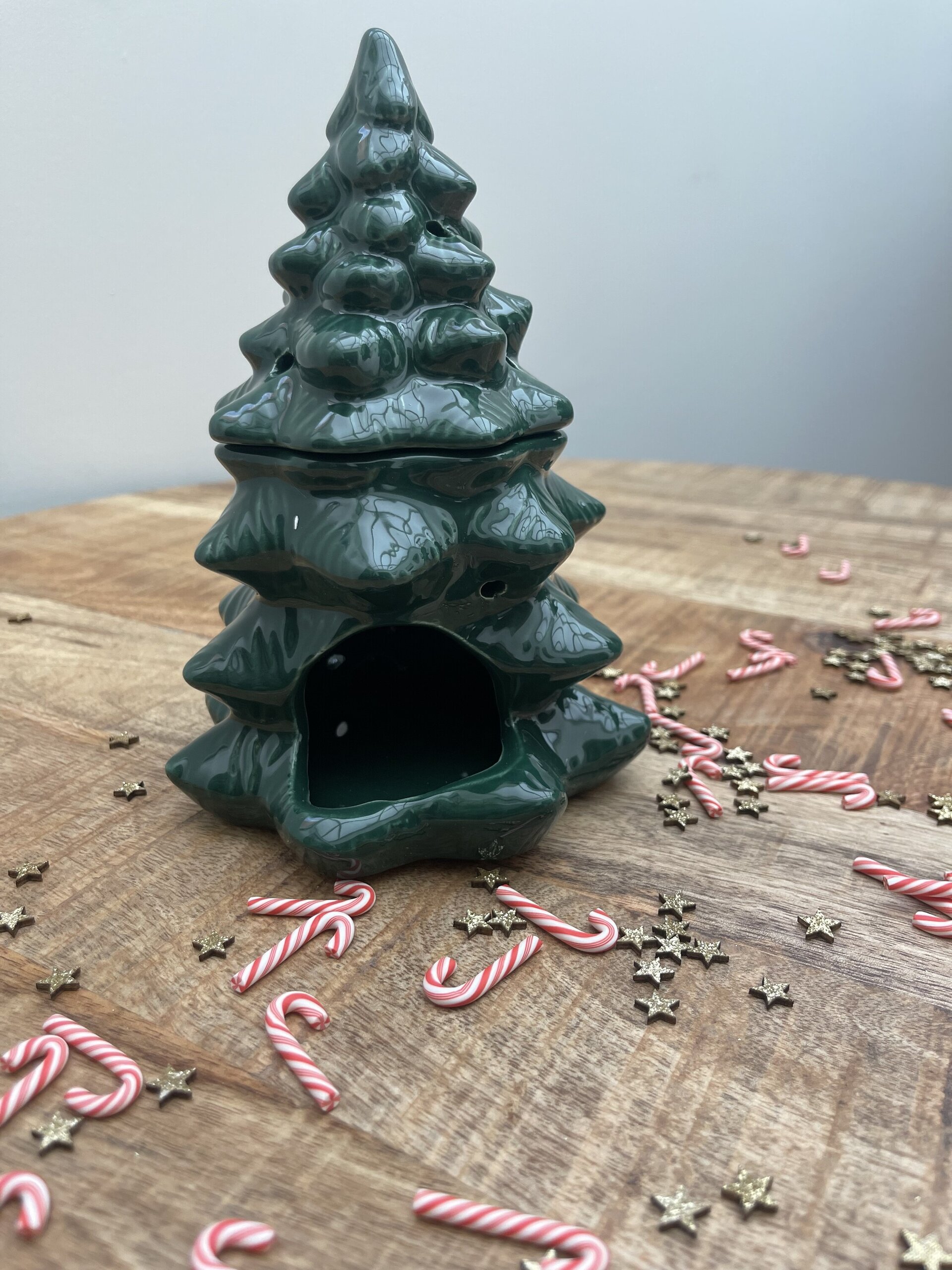 Quemador árbol verde. - 3