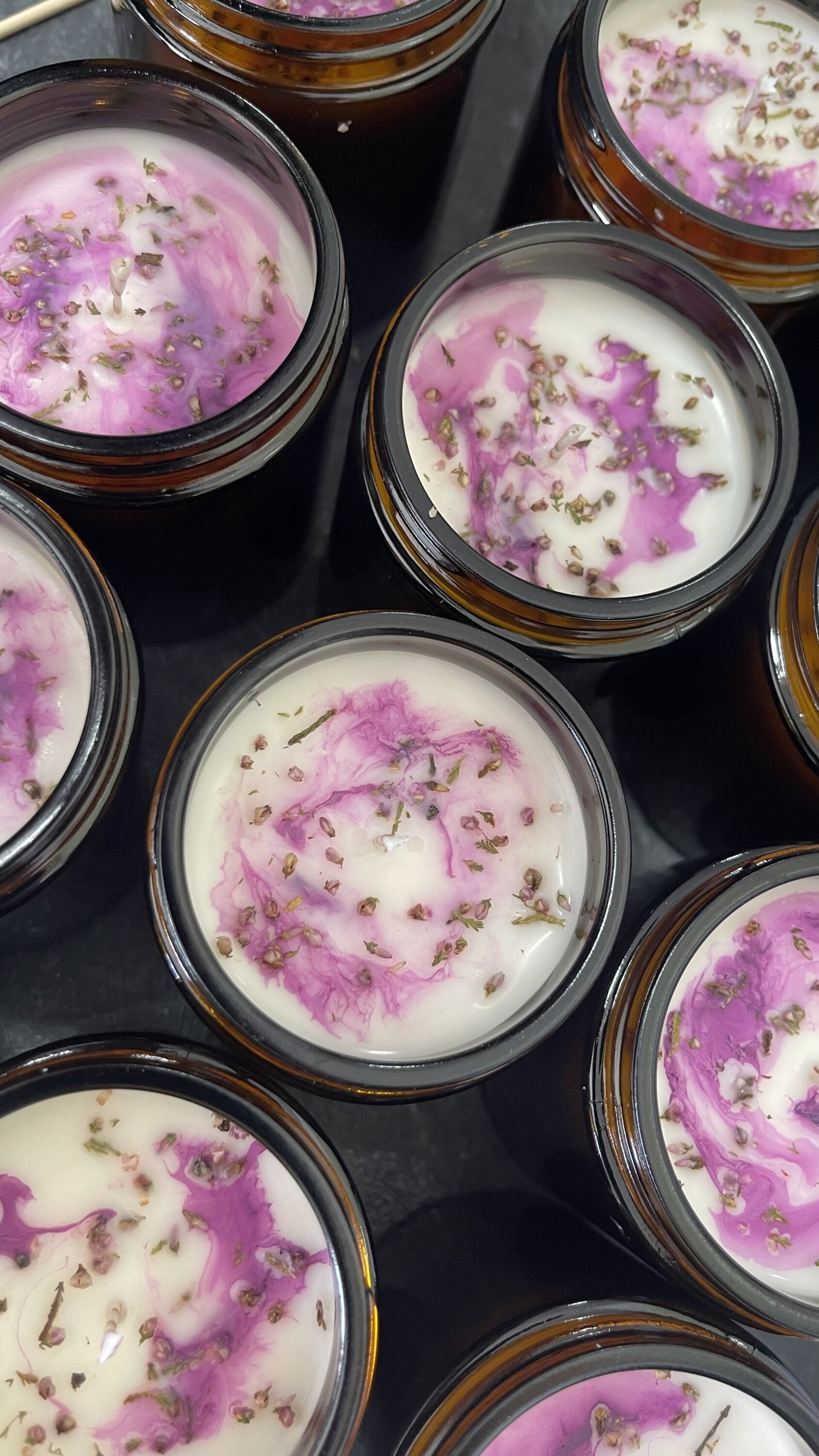 Vela mora silvestre. - 2