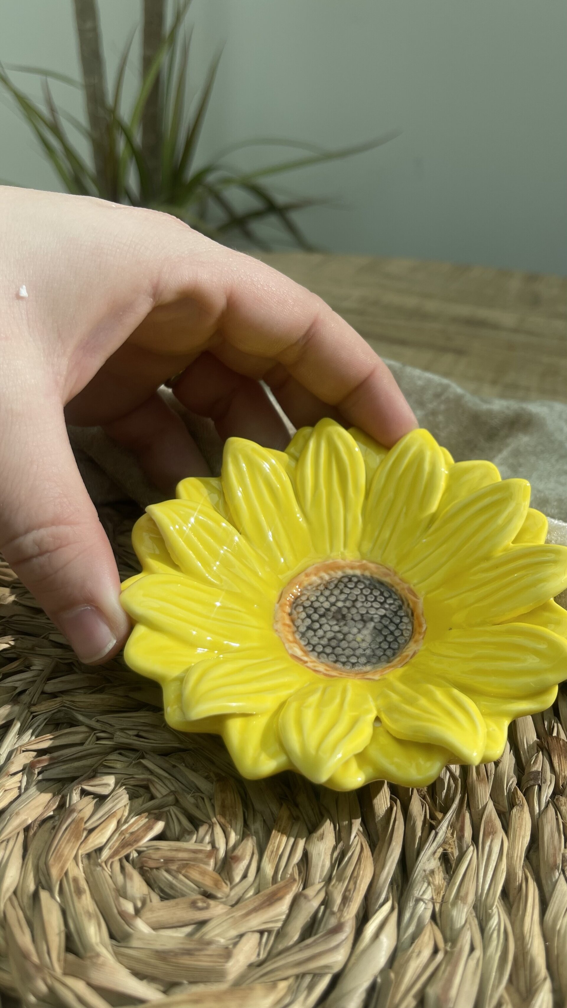 Platito Girasol. - 3