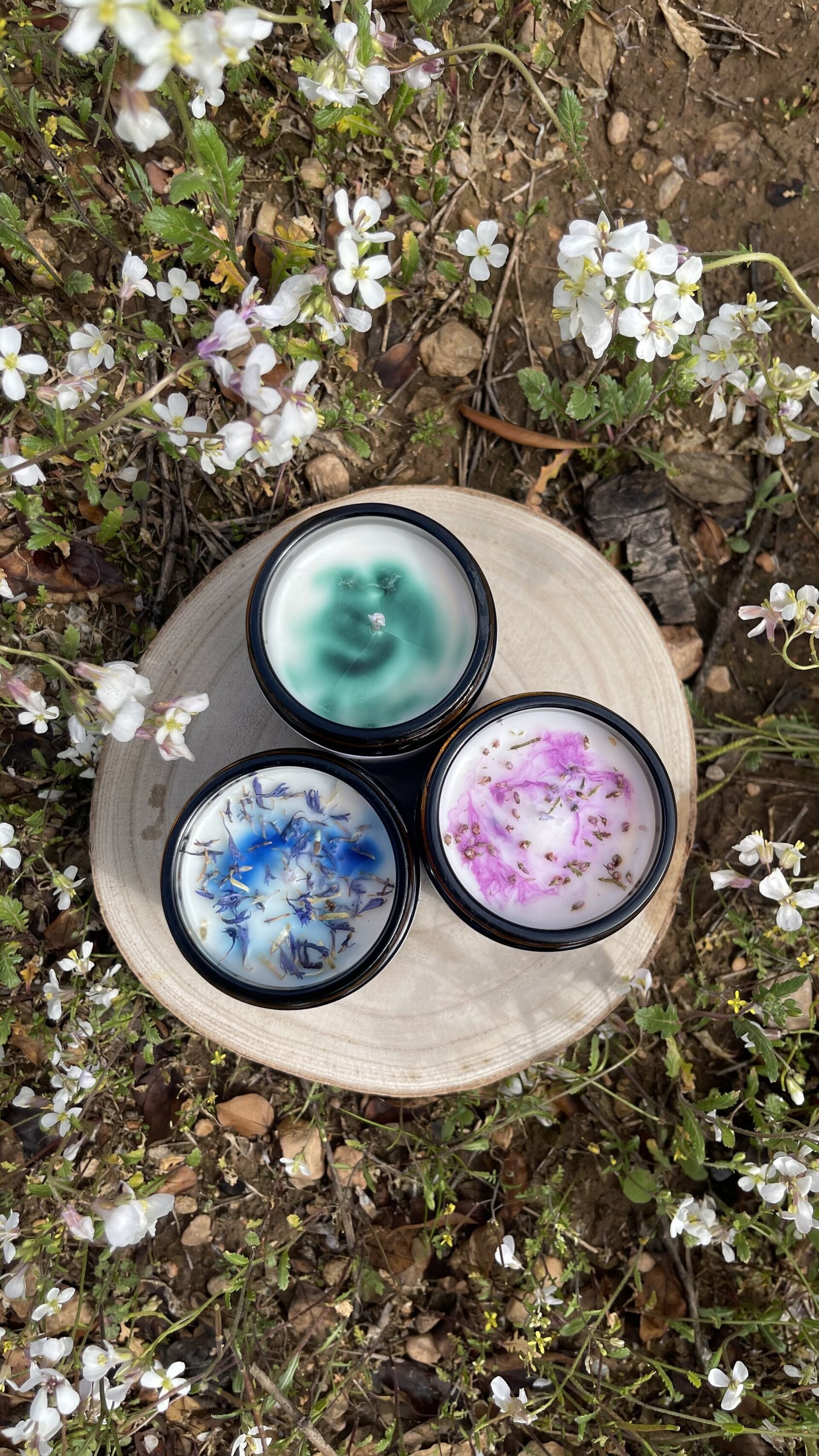 🌿 Pack RENACER - 1