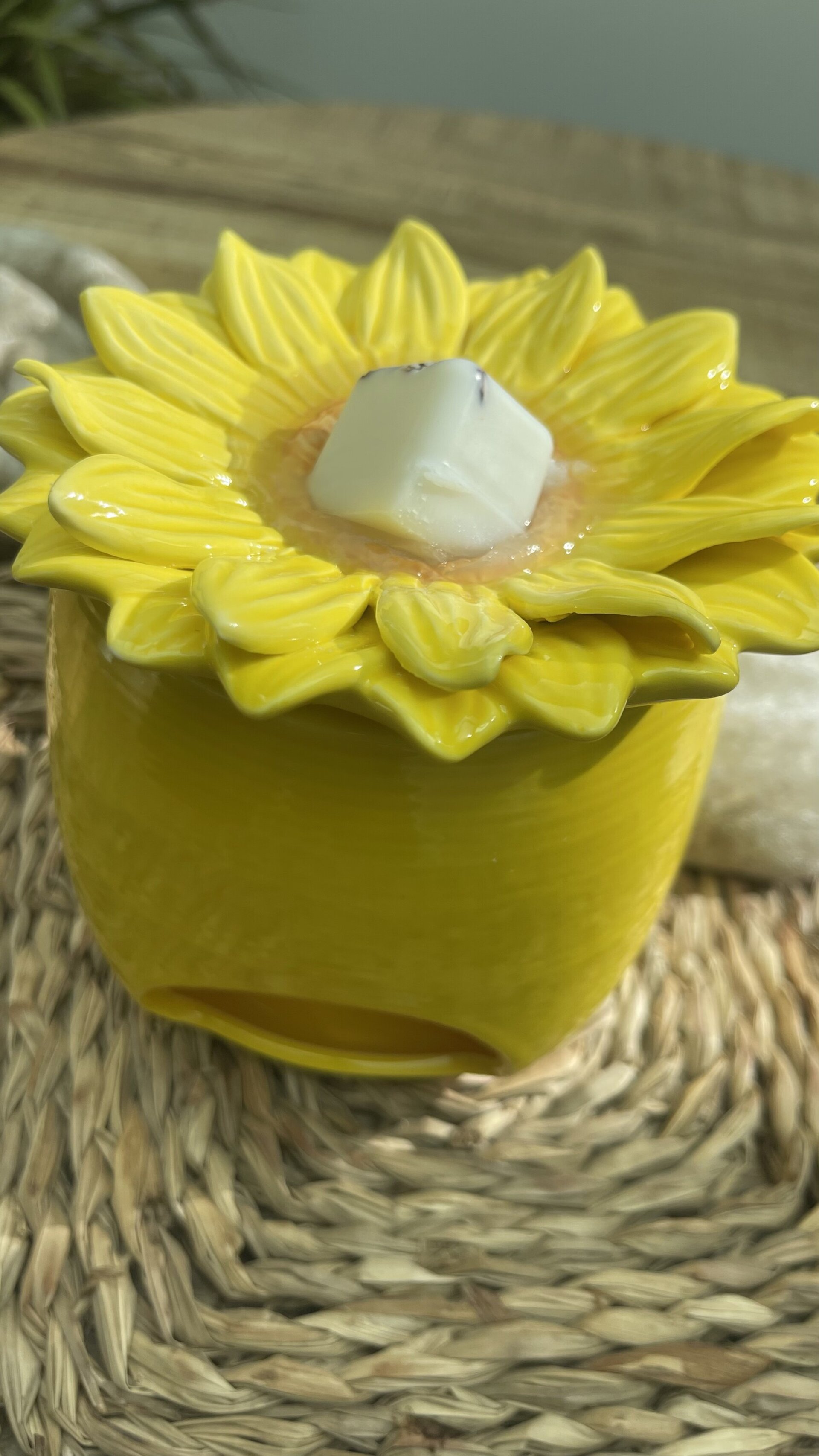 Quemador Girasol. - 4