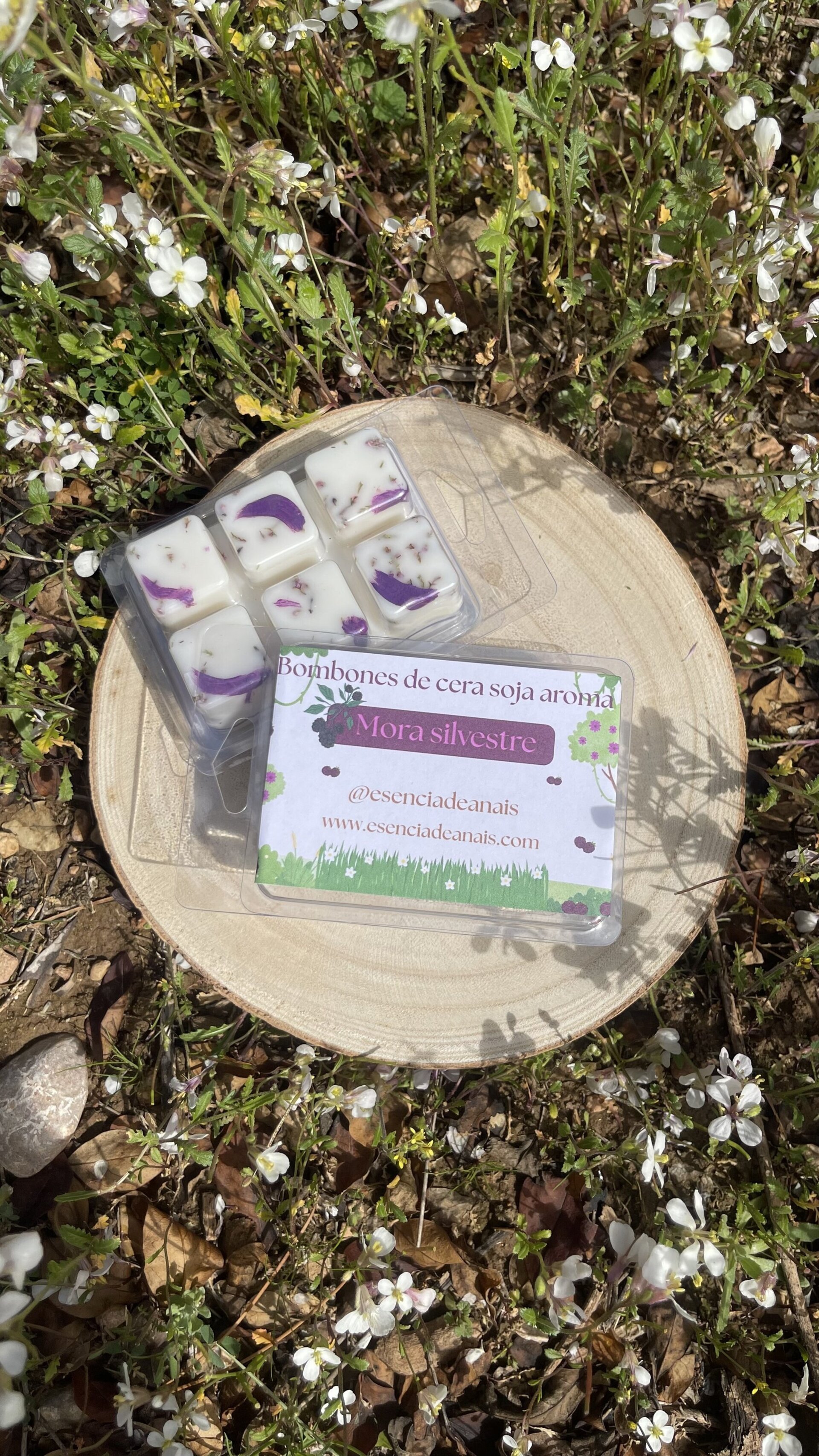 Bombones de cera aroma mora silvestre. - 1