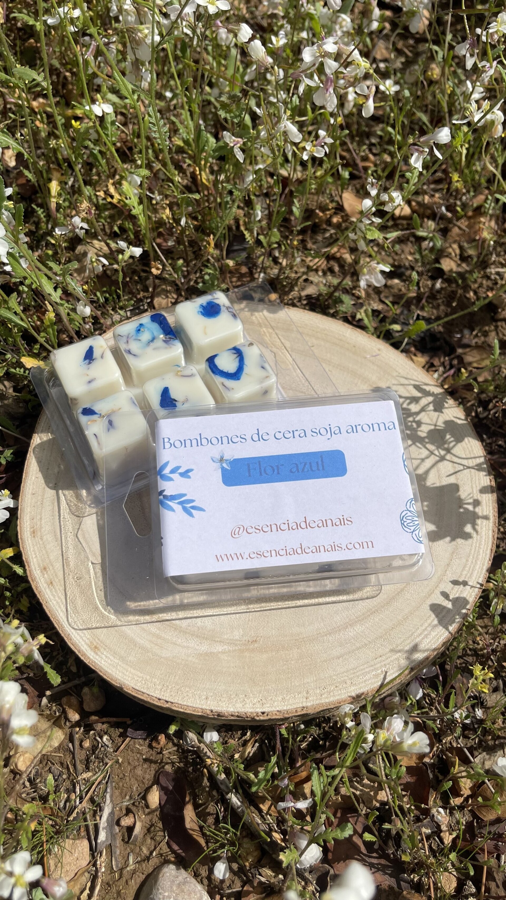 Bombones de cera flor azul. - 2