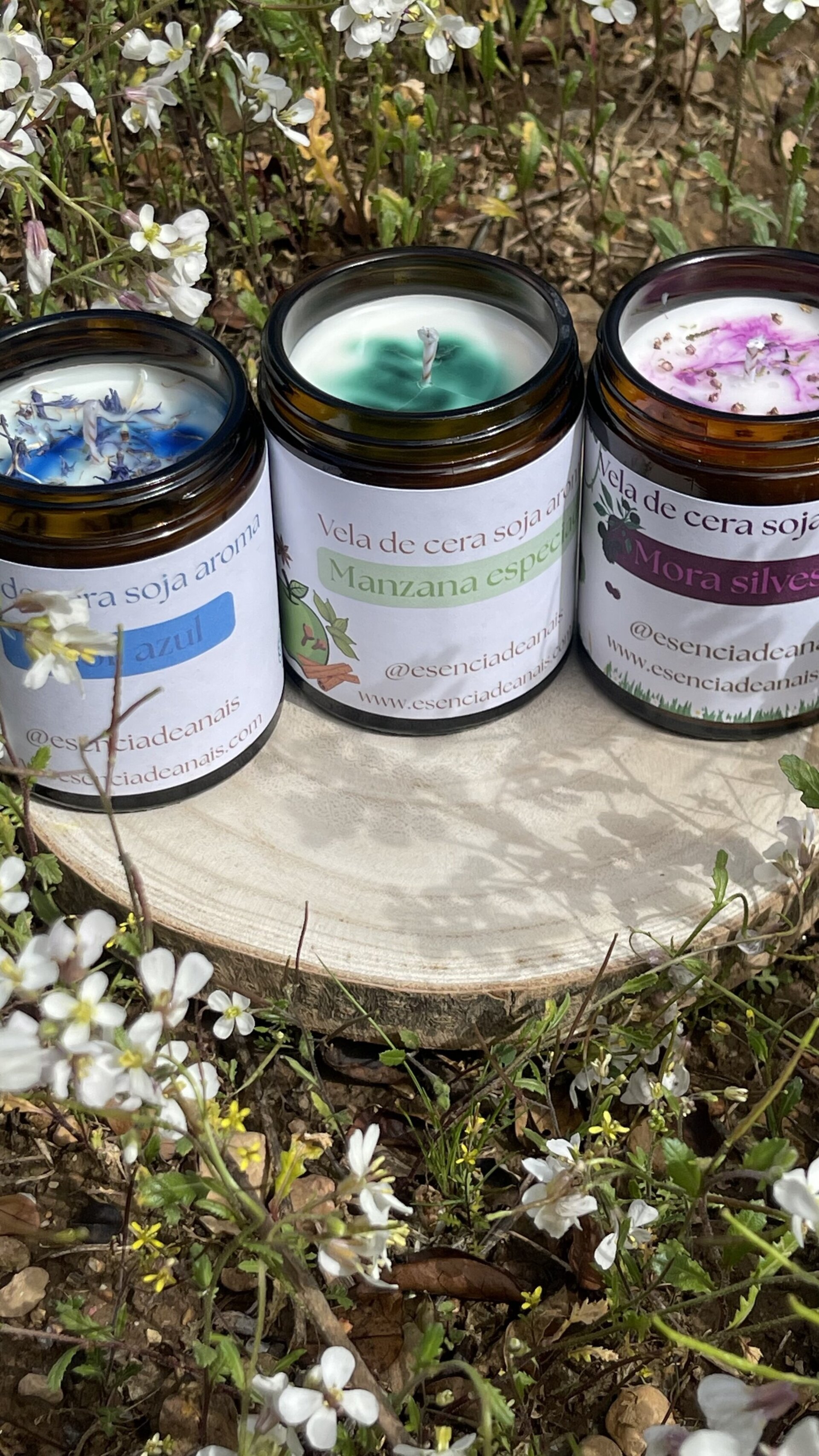 🌿 Pack RENACER - 4