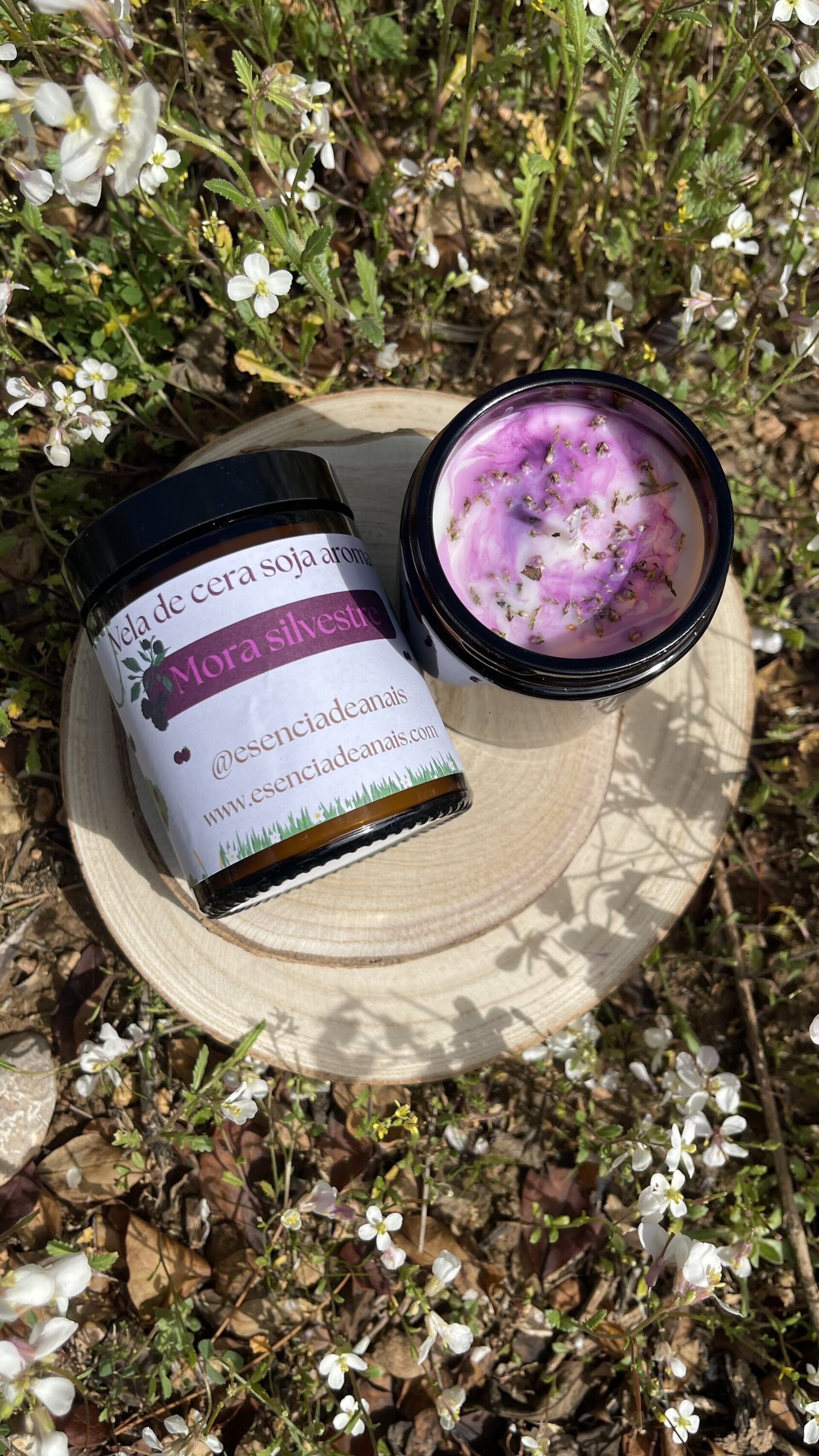 Vela mora silvestre. - 3