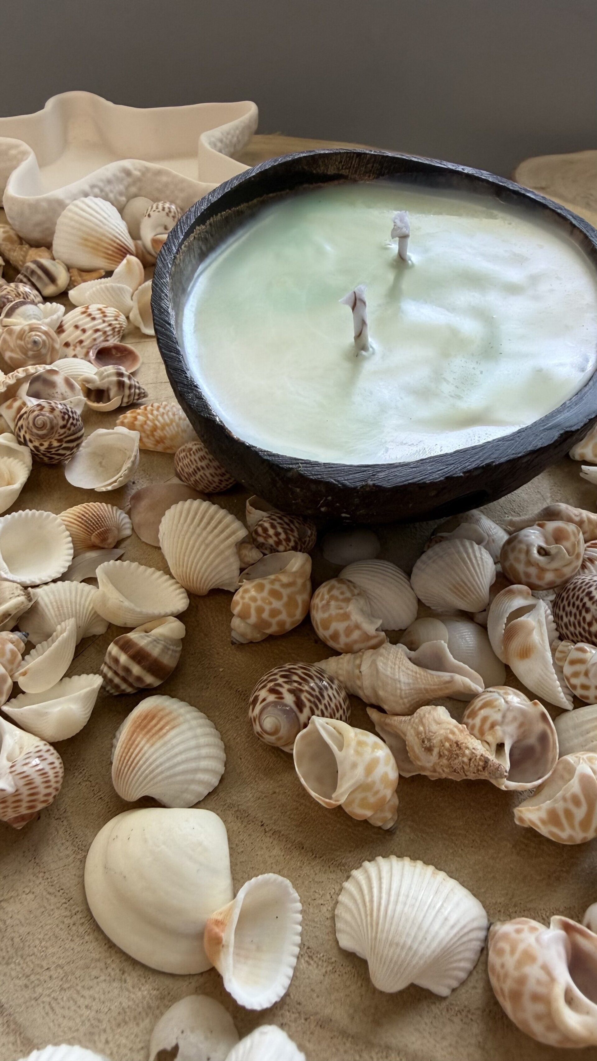 Vela en coco semillas de verano. - 3