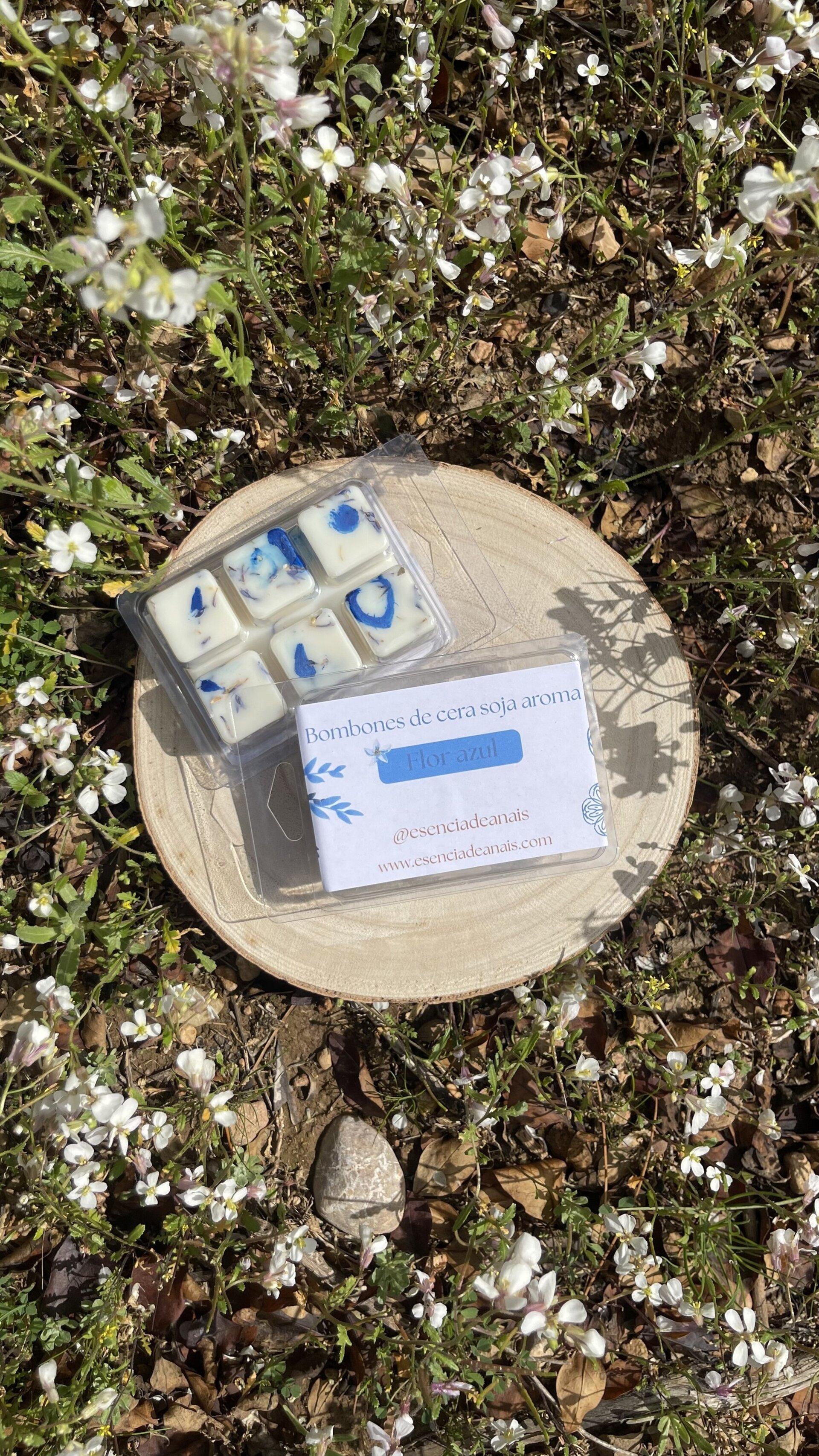 Bombones de cera flor azul. - 1