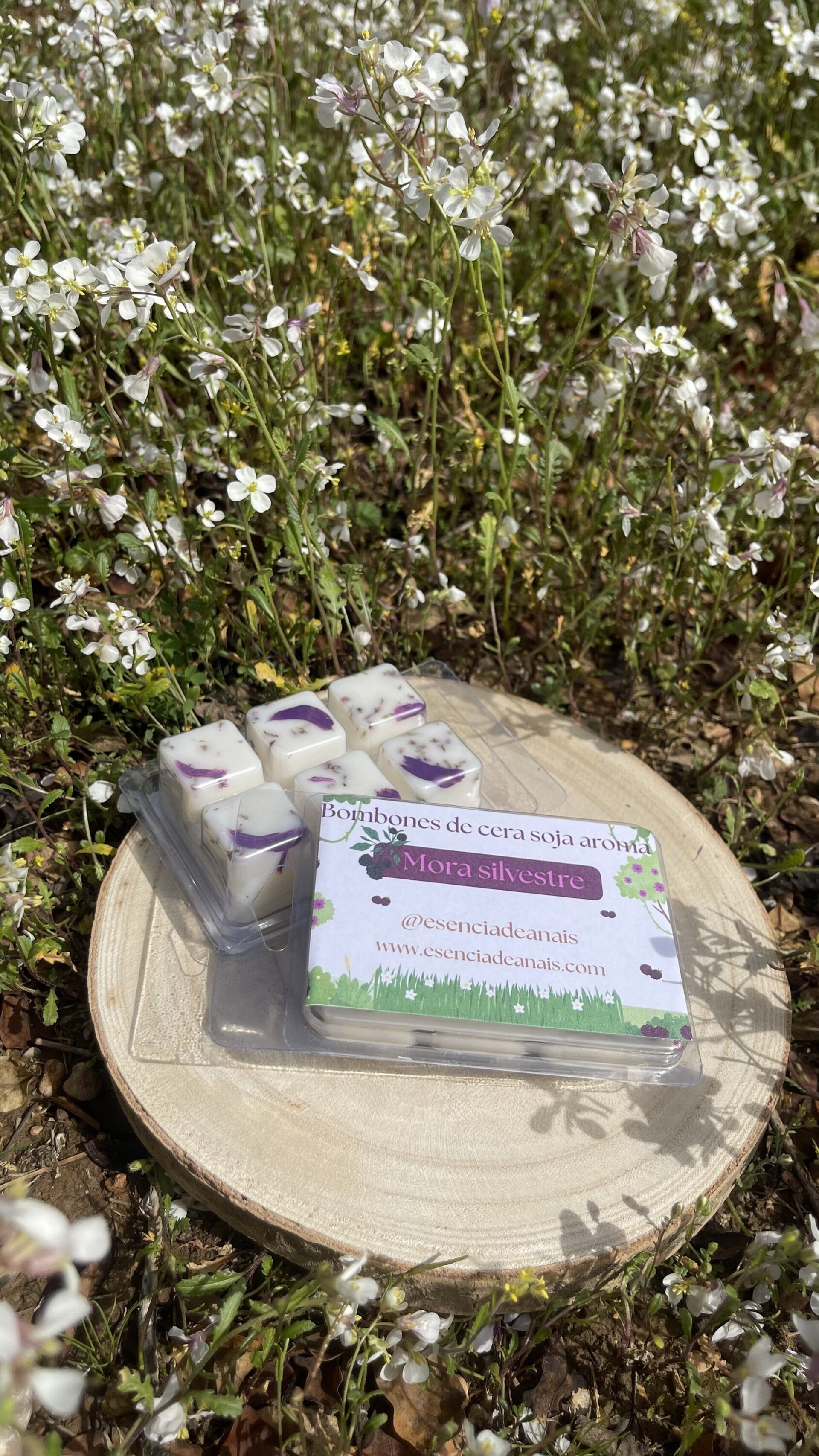 Bombones de cera aroma mora silvestre. - 2