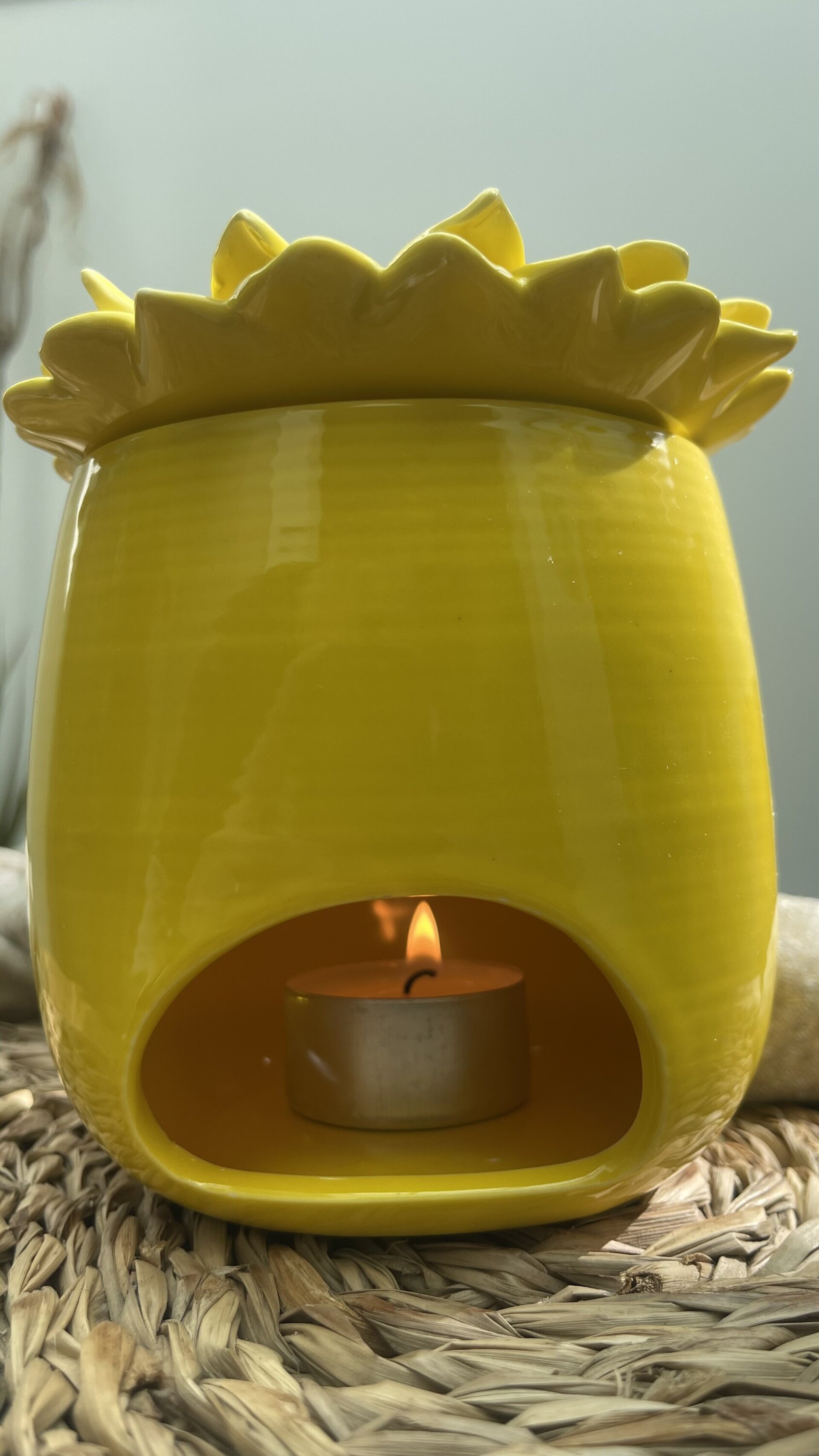 Quemador Girasol. - 3